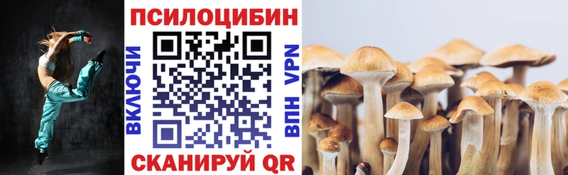 купить закладку  Белореченск  Галлюциногенные грибы мицелий 