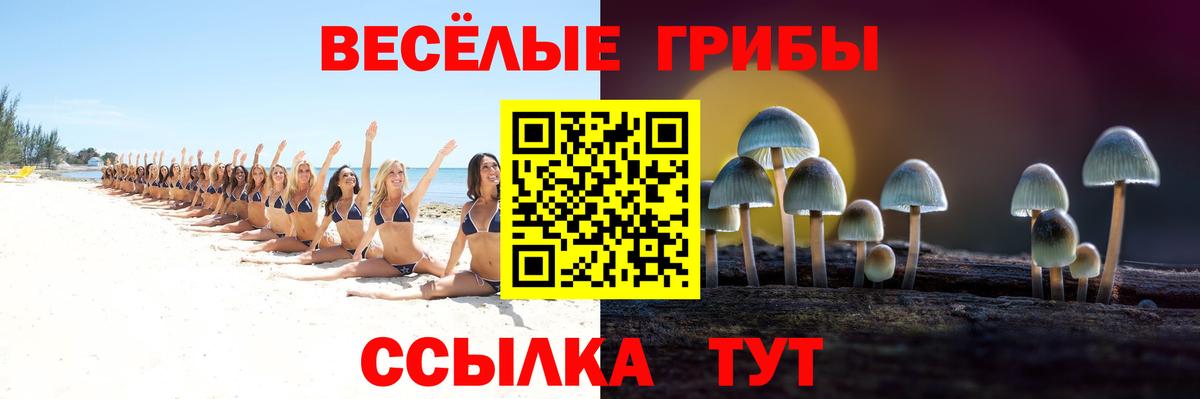 Галлюциногенные грибы ЛСД Белореченск